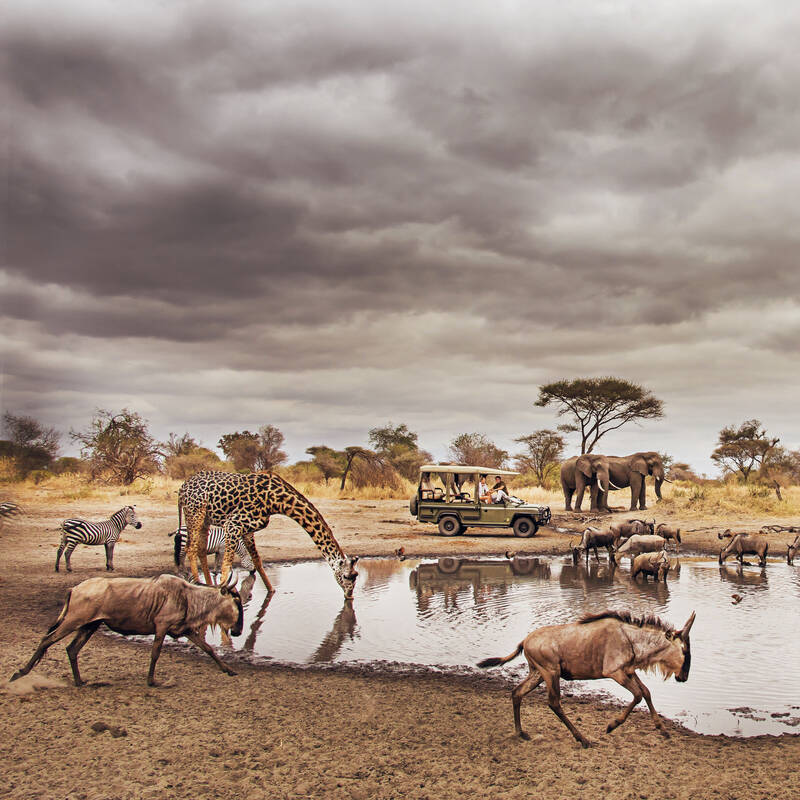 Tarangire and Ngorongoro safari